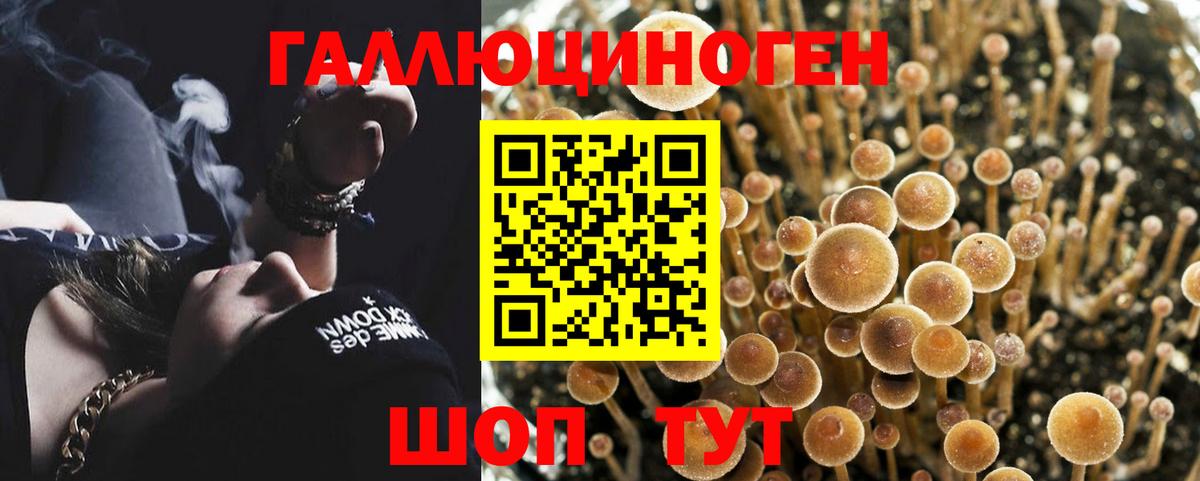 Минусинск  Псилоцибиновые грибы MAGIC MUSHROOMS  Галлюциногенные грибы прущие грибы  Вход с VPN 